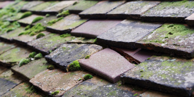 Coedkernew roof repair costs